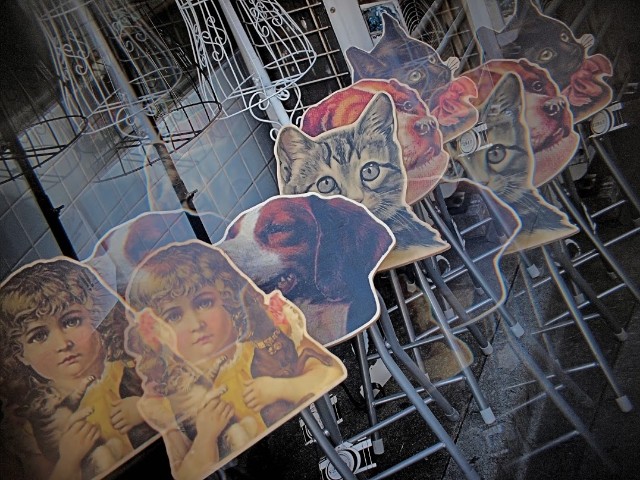 f:id:miewkky:20250530050809j:image f:id:miewkky:20250530050809j:image