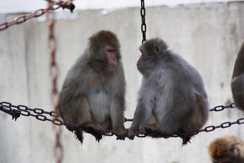 f:id:mifasorashido:20110827001333j:image