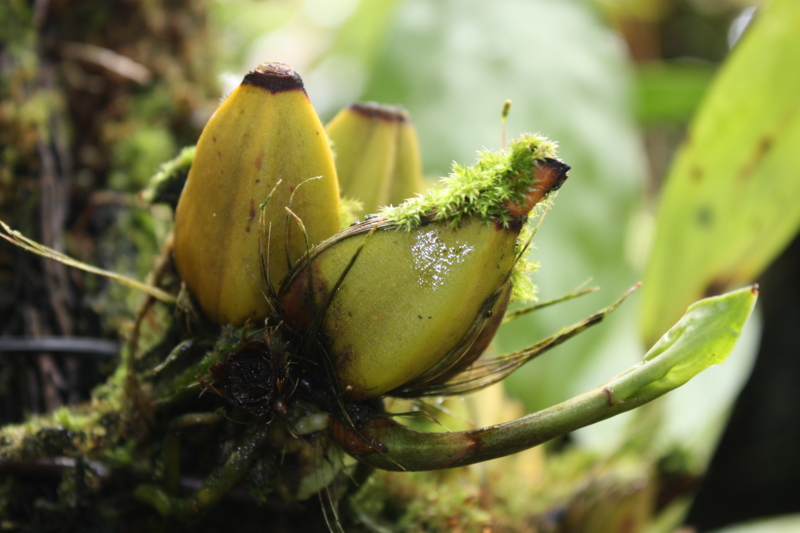 f:id:mifasorashido:20120117225238j:image f:id:mifasorashido:20120117225238j:image