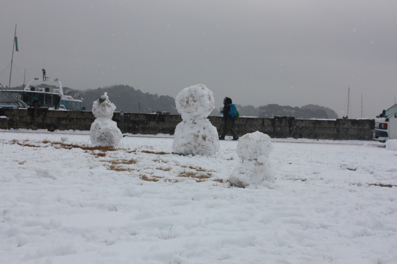 f:id:mifasorashido:20120206004307j:image