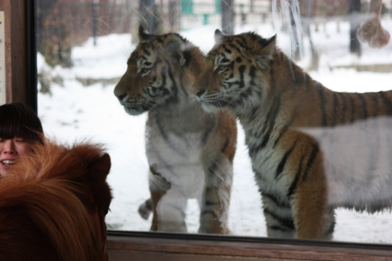 f:id:mifasorashido:20120206004539j:image f:id:mifasorashido:20120206004539j:image