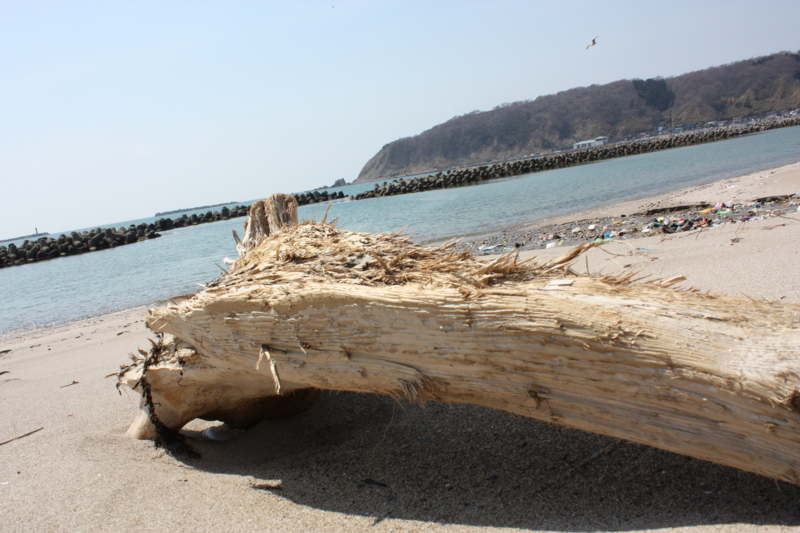 f:id:mifasorashido:20120428222409j:image