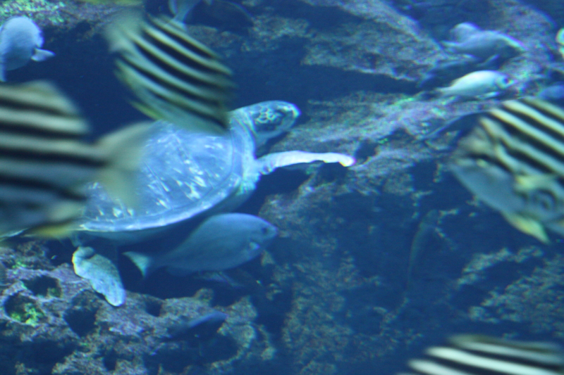 f:id:mifasorashido:20120428222413j:image