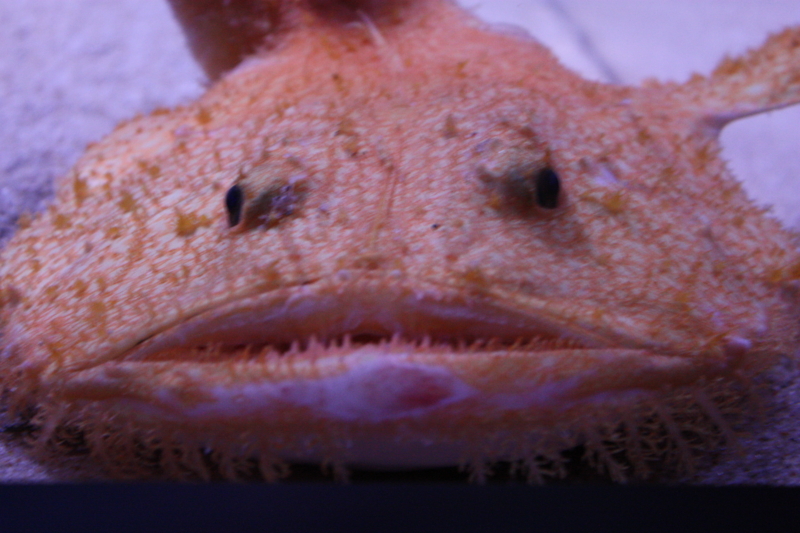 f:id:mifasorashido:20120428222423j:image