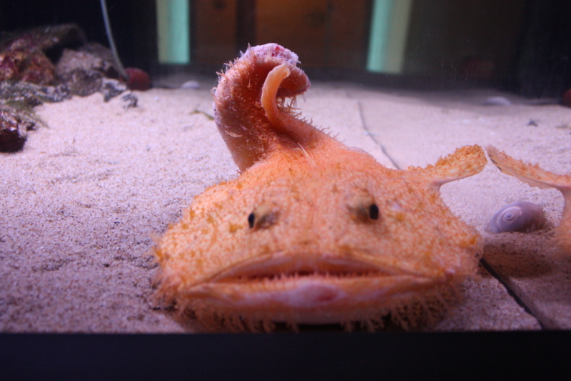 f:id:mifasorashido:20120428222424j:image