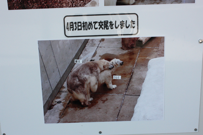 f:id:mifasorashido:20120428222508j:image