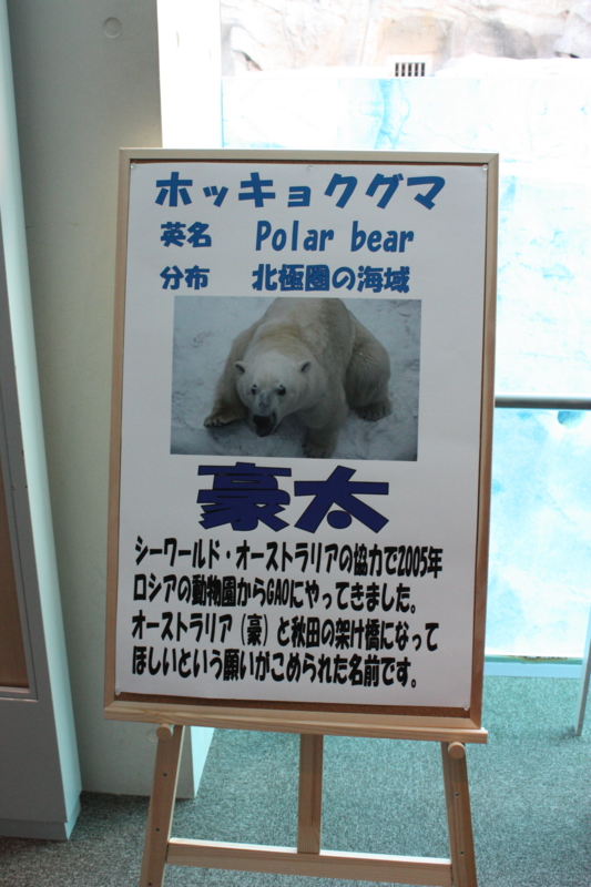 f:id:mifasorashido:20120428222511j:image