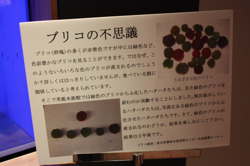 f:id:mifasorashido:20120428222526j:image