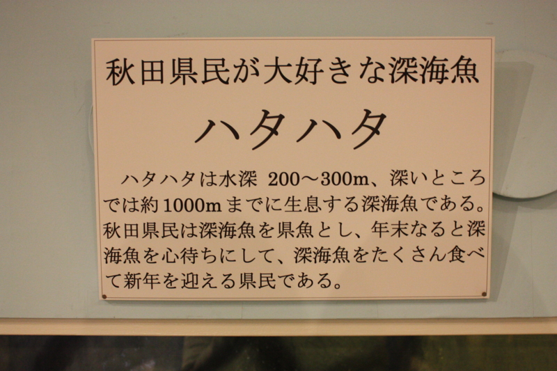 f:id:mifasorashido:20120428222529j:image