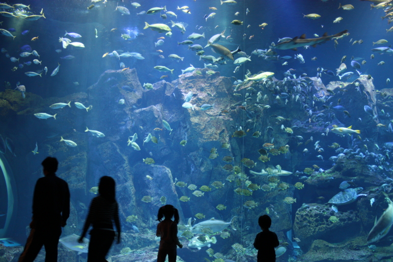 f:id:mifasorashido:20120430005735j:image