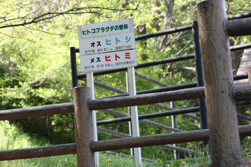 f:id:mifasorashido:20120528224527j:image