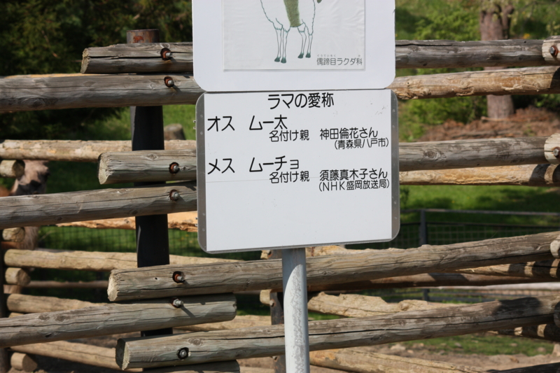 f:id:mifasorashido:20120528224552j:image