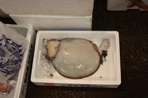 f:id:mifasorashido:20120914121922j:image