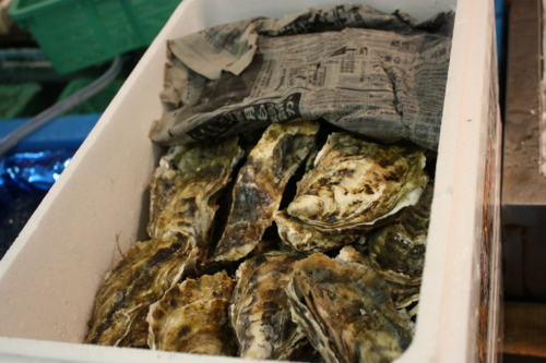 f:id:mifasorashido:20120914122828j:image