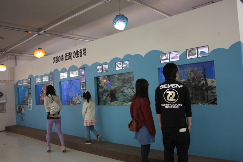 f:id:mifasorashido:20130501211732j:image f:id:mifasorashido:20130501211732j:image