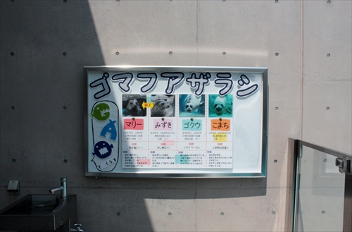 f:id:mifasorashido:20130517224121j:image f:id:mifasorashido:20130517224121j:image