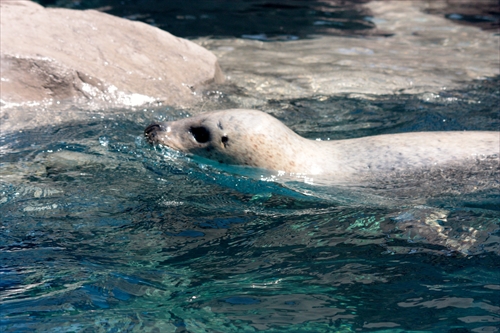 f:id:mifasorashido:20130517224130j:image f:id:mifasorashido:20130517224130j:image