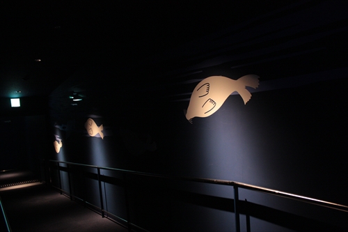 f:id:mifasorashido:20130517224133j:image f:id:mifasorashido:20130517224133j:image