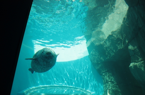 f:id:mifasorashido:20130517224135j:image f:id:mifasorashido:20130517224135j:image