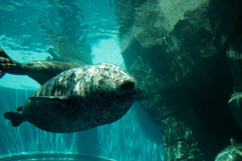 f:id:mifasorashido:20130517224138j:image f:id:mifasorashido:20130517224138j:image