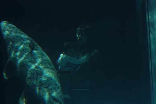 f:id:mifasorashido:20130517224141j:image f:id:mifasorashido:20130517224141j:image