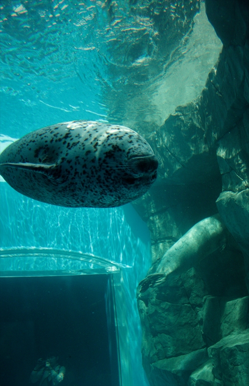 f:id:mifasorashido:20130517224146j:image f:id:mifasorashido:20130517224146j:image