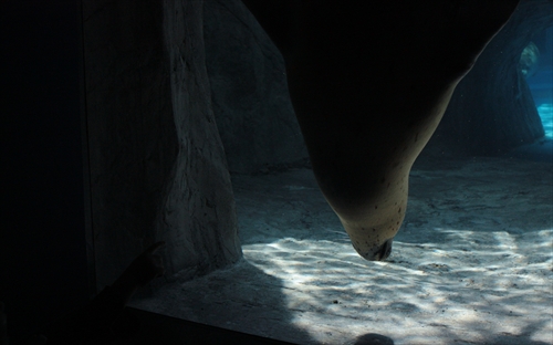 f:id:mifasorashido:20130517224159j:image f:id:mifasorashido:20130517224159j:image