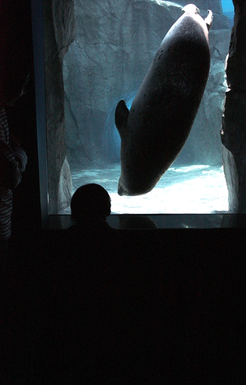 f:id:mifasorashido:20130517224201j:image f:id:mifasorashido:20130517224201j:image