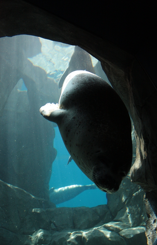 f:id:mifasorashido:20130517224203j:image f:id:mifasorashido:20130517224203j:image