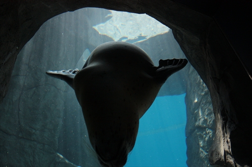 f:id:mifasorashido:20130517224205j:image f:id:mifasorashido:20130517224205j:image