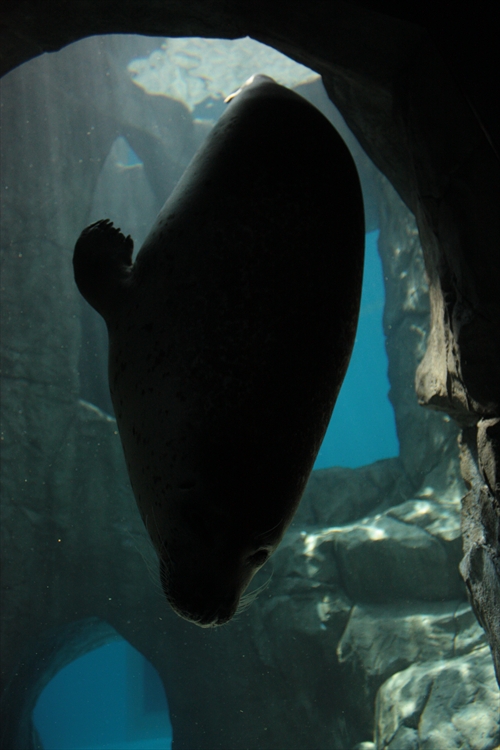 f:id:mifasorashido:20130517224207j:image f:id:mifasorashido:20130517224207j:image