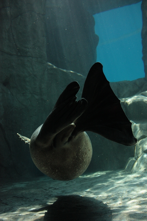 f:id:mifasorashido:20130517224208j:image f:id:mifasorashido:20130517224208j:image