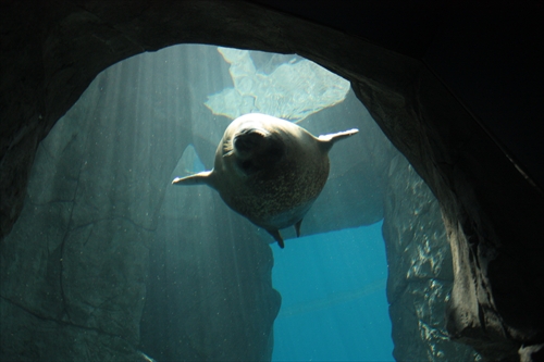 f:id:mifasorashido:20130517224209j:image f:id:mifasorashido:20130517224209j:image