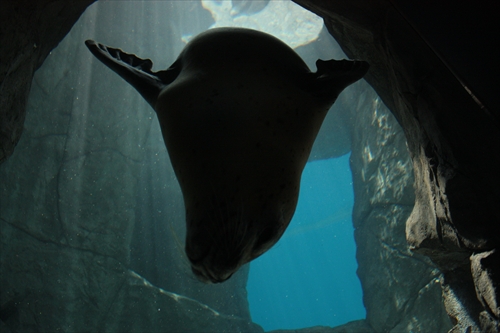 f:id:mifasorashido:20130517224210j:image f:id:mifasorashido:20130517224210j:image