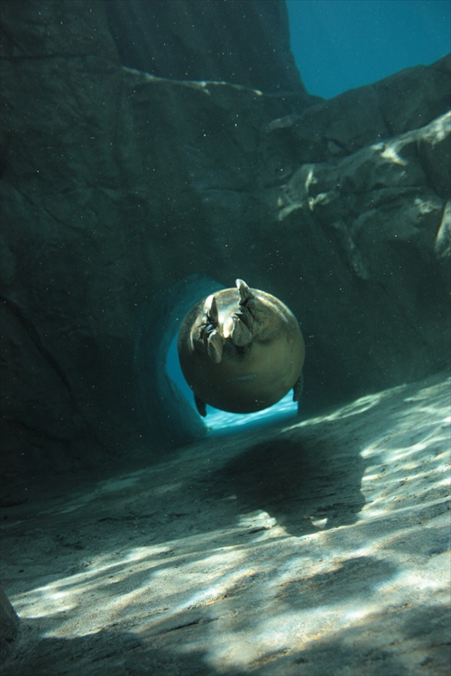 f:id:mifasorashido:20130517224211j:image f:id:mifasorashido:20130517224211j:image