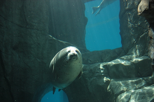 f:id:mifasorashido:20130517224212j:image f:id:mifasorashido:20130517224212j:image