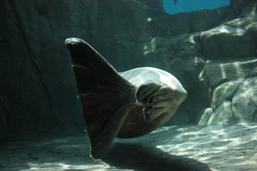 f:id:mifasorashido:20130517224216j:image f:id:mifasorashido:20130517224216j:image