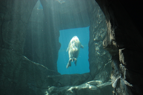 f:id:mifasorashido:20130517224218j:image f:id:mifasorashido:20130517224218j:image