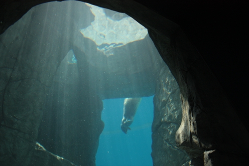 f:id:mifasorashido:20130517224219j:image f:id:mifasorashido:20130517224219j:image