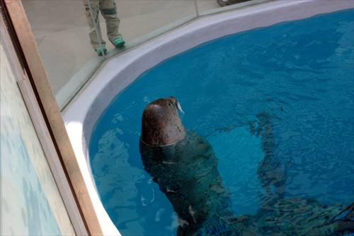 f:id:mifasorashido:20130517224304j:image f:id:mifasorashido:20130517224304j:image