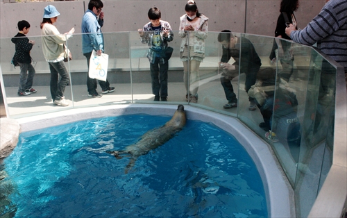 f:id:mifasorashido:20130517224306j:image f:id:mifasorashido:20130517224306j:image