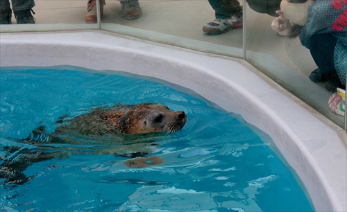 f:id:mifasorashido:20130517224308j:image f:id:mifasorashido:20130517224308j:image