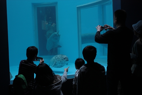 f:id:mifasorashido:20130517224321j:image f:id:mifasorashido:20130517224321j:image