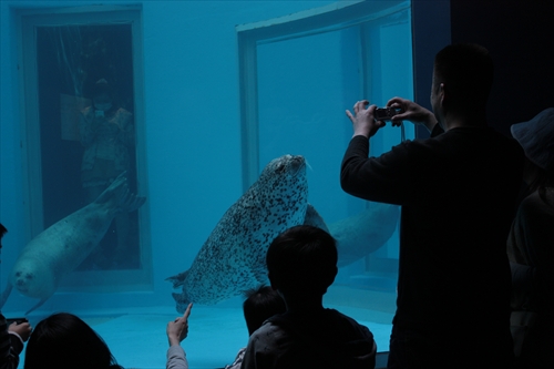 f:id:mifasorashido:20130517224322j:image f:id:mifasorashido:20130517224322j:image