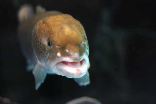 f:id:mifasorashido:20130731212021j:image f:id:mifasorashido:20130731212021j:image