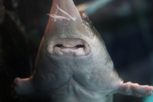 f:id:mifasorashido:20130731222315j:image f:id:mifasorashido:20130731222315j:image