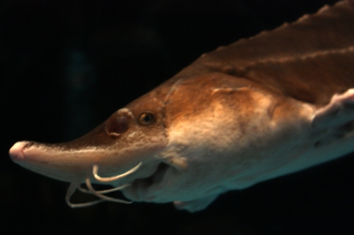 f:id:mifasorashido:20130731222734j:image f:id:mifasorashido:20130731222734j:image