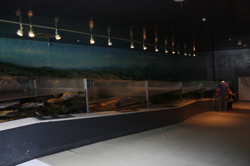 f:id:mifasorashido:20130801090616j:image f:id:mifasorashido:20130801090616j:image