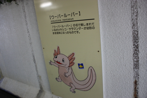 f:id:mifasorashido:20130801091810j:image f:id:mifasorashido:20130801091810j:image