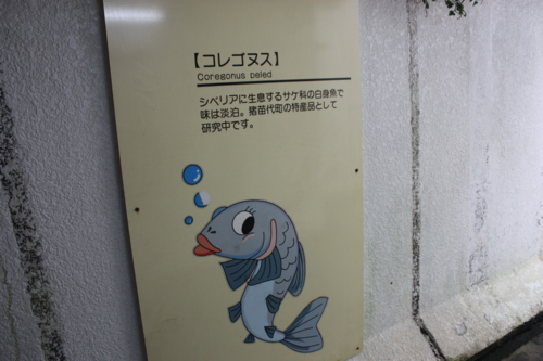 f:id:mifasorashido:20130801091828j:image f:id:mifasorashido:20130801091828j:image